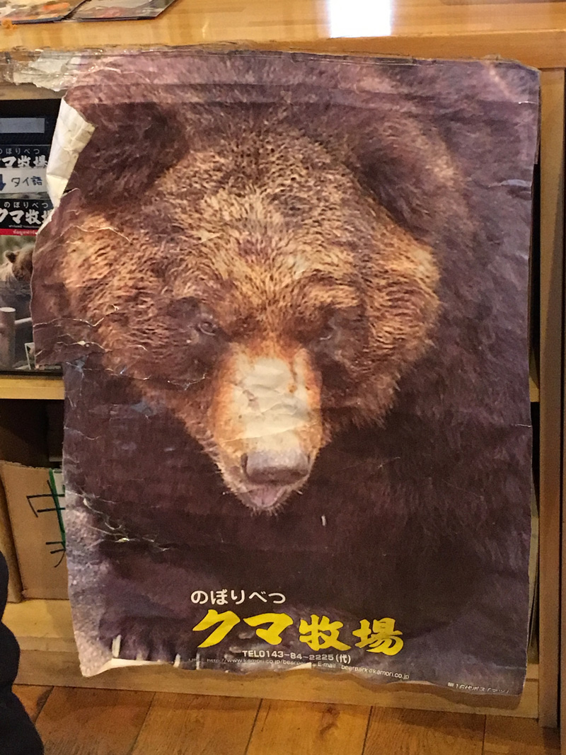 Bear poster Hokkaido